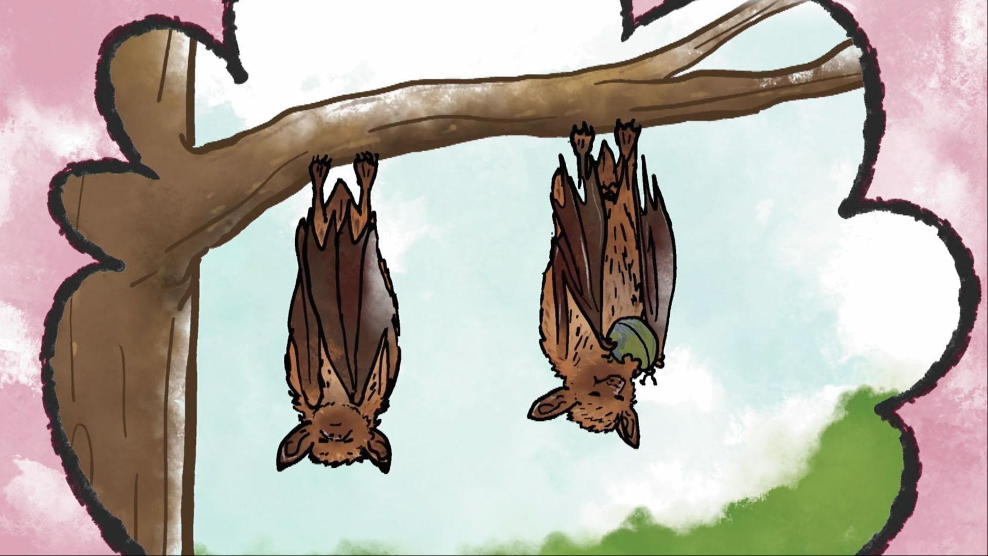Ari gives Jorge the inside scoop on why bats like to hang upside down.